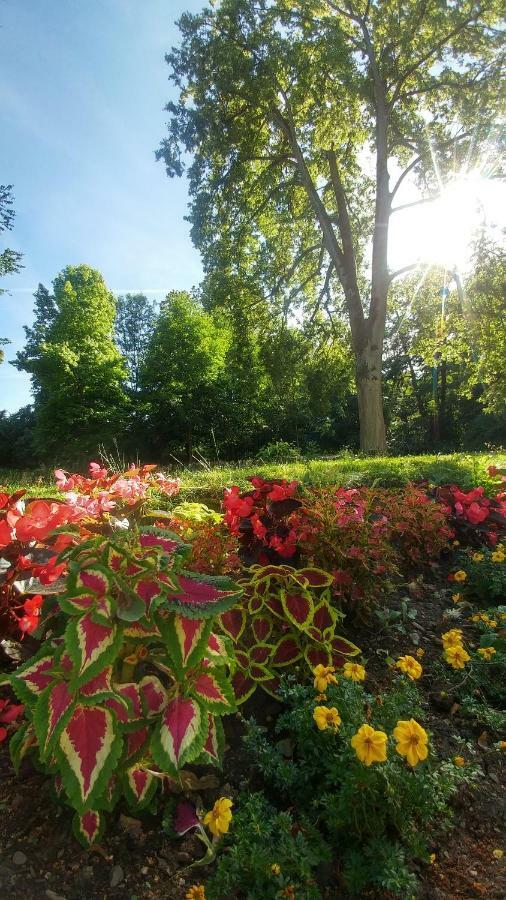 Moderne Ferienwohnungen Am Kurpark - Zentral, Ruhig & Nah Am Edersee บัดวิลดุงเงน ภายนอก รูปภาพ